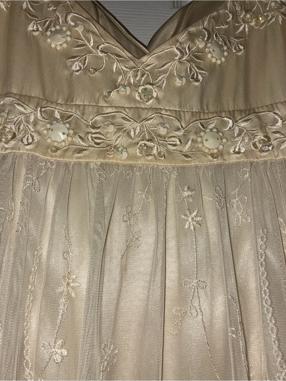Sue Wong Embellished Champagne Mesh Embroidered Slip Dress - Picture 7 of 13